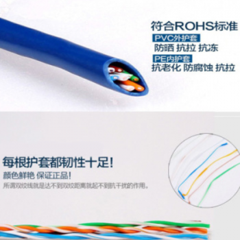 工程家庭超五类0.5无氧铜纯铜蓝皮网线poe网线300米监控双绞线网图2