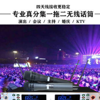行音 金属真分集一拖二无线话筒U段专业大型户外舞台婚庆主持专用图3