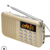High quality Digital usb mini fm radio with mp3 playerL-218