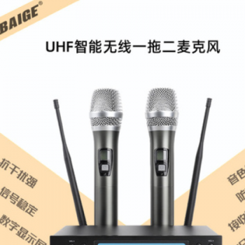 BAIGE/佰歌专业无线话筒小型一拖二KTV舞台家庭唱k麦克风防啸叫图3