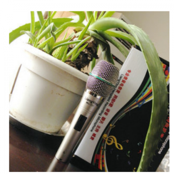 靓莺MC-727有线动圈麦克风 网络K歌 录音话筒 唱歌麦克风图2