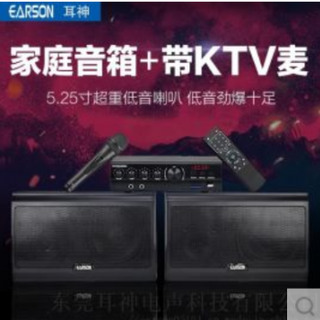 ER2552 家庭 会议KTV音箱带麦 重低音炮