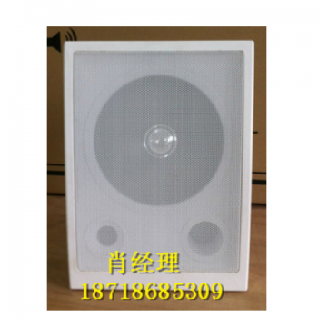 有源壁挂音箱，有源蓝牙壁挂音箱厂家直销，有源壁挂音箱**供应商电话报价，图2