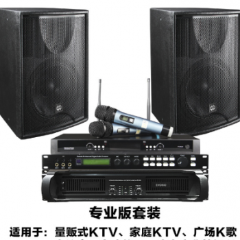 厂家批发12寸专业音箱无线麦克风KTV音响家庭K歌户外演出设备套装图1