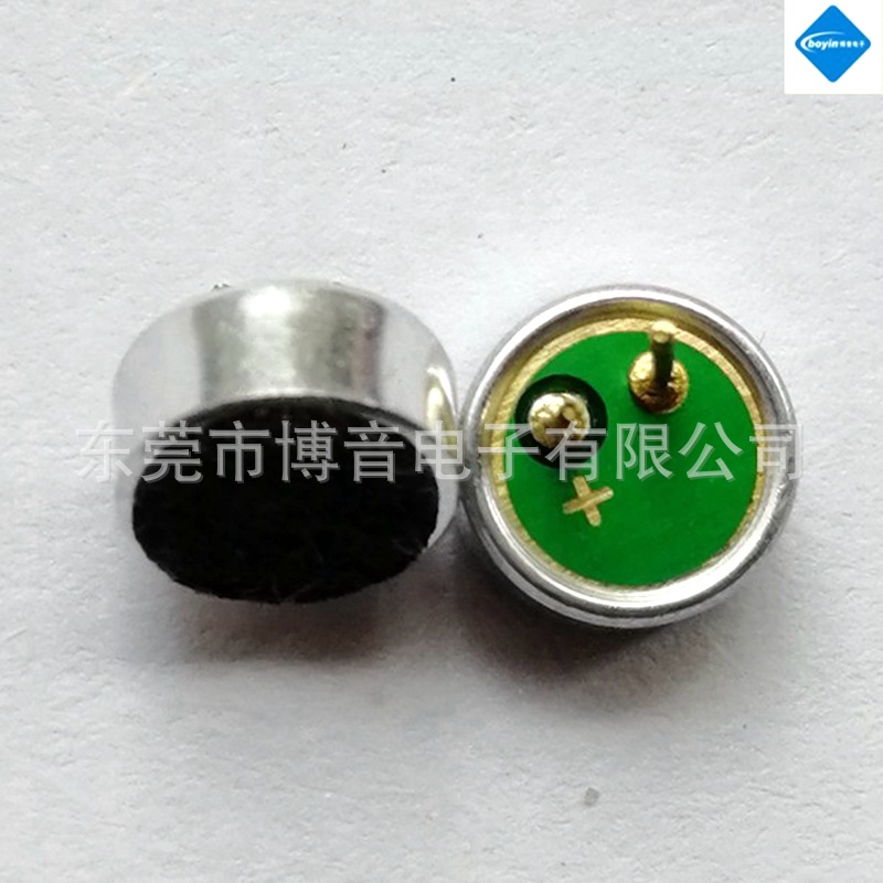 mic6027P.JPG