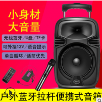 新科大功率便携式拉杆音响广场舞卡拉ok户外K歌录音蓝牙8寸音响