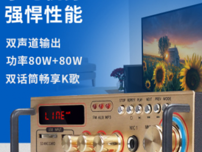 大功率蓝牙功放机220V新款家庭ktv专业k歌发烧HIFI卡拉OK音响功放图2