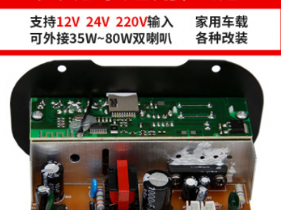 大功率低音炮功放板内置蓝牙模块音箱主板220V12V24V家庭车载适用图2