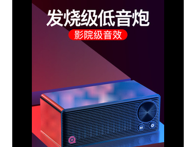 先科 T30无线蓝牙音箱家用发烧级超重低音炮3D环绕便携式户外音箱