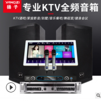 厂家直销专业家庭KTV音响点歌机套装舞台会议舞蹈室音箱K歌演讲用