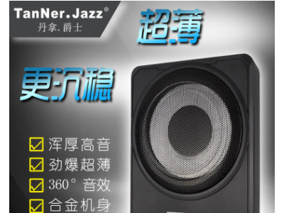 丹拿.爵士TanNer.Jazz10寸超薄低音炮车载音响纯低音喇叭厂家直销