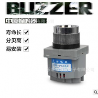 乐清中厦电子蜂鸣器HRB-P60/CBZ-30/KH-4025D/开孔Φ30mm蜂鸣器