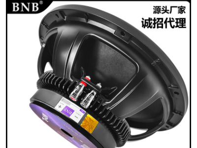 BNB 8寸低音喇叭重低铝架布边大功率KTV舞台音箱配件