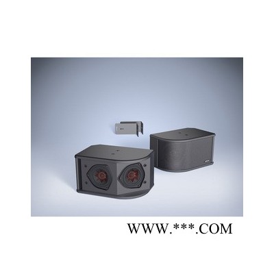 BOSE 203 全频扬声器