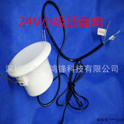 定制12V，24V有源防水吸顶小喇叭 设备专业喇叭扬声器