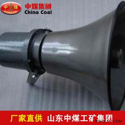 中煤 BYS系列 防爆扬声器 BYS系列防爆扬声器价格 BYS系列防爆扬声器厂家