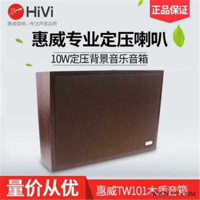 Hivi/惠威 TW101公共广播壁挂音箱 专业壁挂会议喇叭校园广播