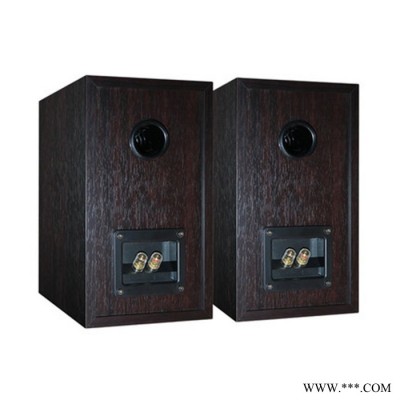 Winner/天逸 童笛S1高保真无源 HIFI书架音箱 发烧家用客厅音响