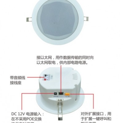 东创DC-8923 IP网络吸顶音箱(POE供电)图4