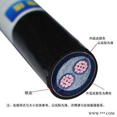 金环宇电缆 yjv22铠装电力电缆ZCN-YJV22-2X50平方阻燃耐火电缆