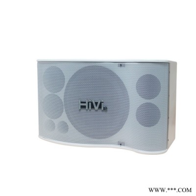 HIVI 惠威PX1000卡拉OK卡包专业音箱2.0声道 工程音响专业音响设备专业喇叭（一对）