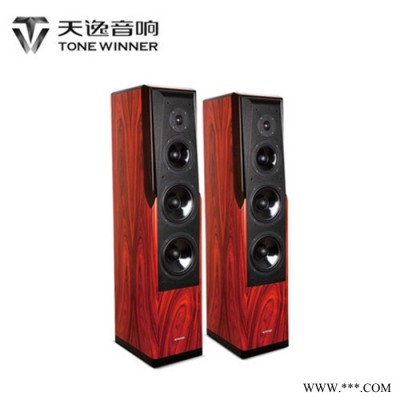 Winner/天逸 TD-8童笛八号高保真HiFi音箱 无源家用落地音响 落地音箱