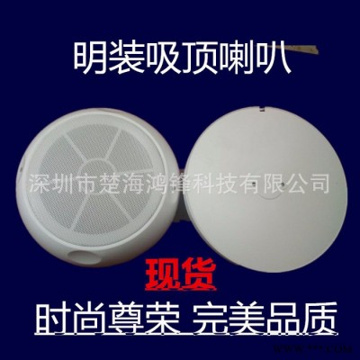 楚海鸿锋白色圆形ABS塑胶钢网明装天花喇叭 消防专用喇叭可加工有源蓝牙音箱