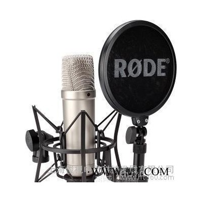 罗德录音电容话筒（RODE NT2-A专业录音麦克风）