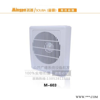 原厂品牌 壁挂喇叭3-5W挂壁音箱 校园广播教室打铃小喇叭背景音乐