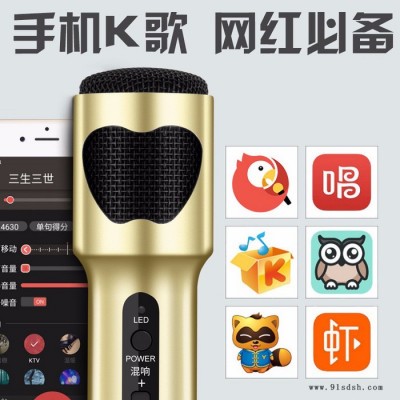 STW/三鑫天威全民K歌唱歌主播直播麦克风话筒小巧便携麦克风话筒图4