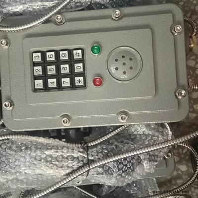 HZBQ-3型防爆电话机 双音频兼容拨号防爆电话机 防爆电话机