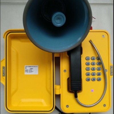 IP声光电话机，广播电话一体机 ，抗噪扩音电话图3