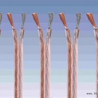 供应纯铜100高保真音响线RVH2*0.3音箱线0.3平方透明音响线价格金银线