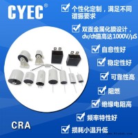 纯源【厂家批发】DCH DGR RMJ-MT电容器定制 CRA 0.3μF/400VAC DCH电容器