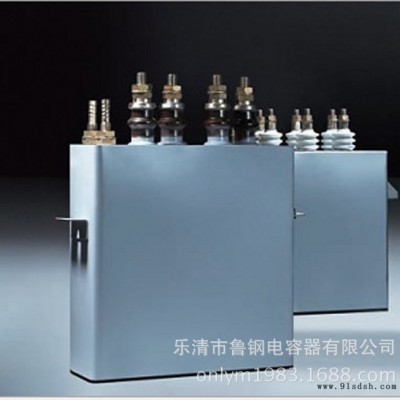 专业生产电容器**高压并联电容器BAM12-100-3W  电力电容器