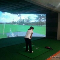 高尔夫模拟器 高尔夫练习器 室内高尔夫 高尔夫3D家庭影院 最经典的影院高尔夫  集成视频高尔夫影像技术  劲爆发布