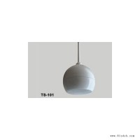 SOUNDZONE TS-101 球形吊顶喇叭 背景音乐广播 室内家用店铺餐厅校园公共系统