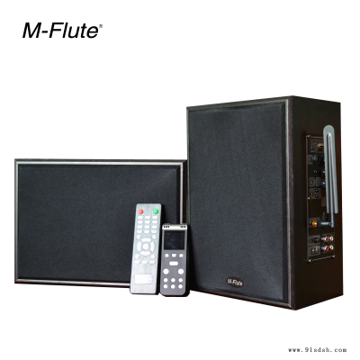 会议麦克风 M-Flute蓝牙音箱  多媒体教学音箱 防啸叫音响图2