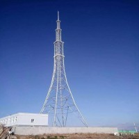 泰翔打造广播电视发射塔 靓丽新颖广播电视塔 楼上电视信号发射塔实力定制