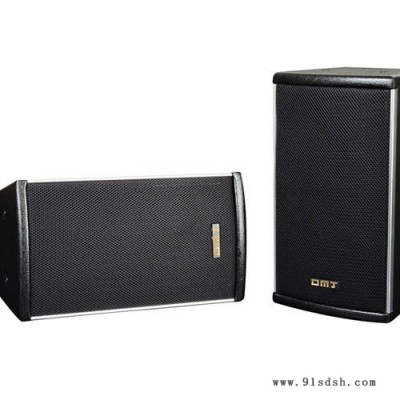 日本DMJ品牌DK-206会议音箱 6.5寸专业会议音箱黑/白可选