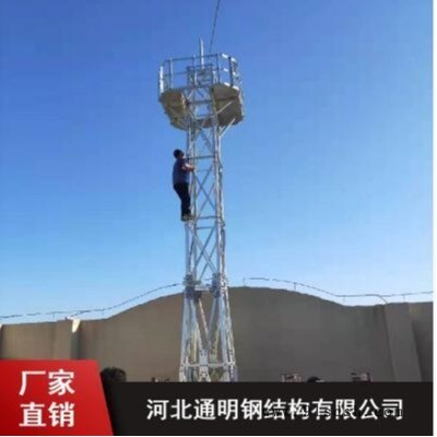 厂家直销角钢监控塔 楼顶监控塔 小型广播塔 扩音喇叭架设塔专业生产厂家