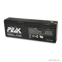 PEAK蓄电池PK12V2.3 12V2.3AH精密仪器 音箱 电梯