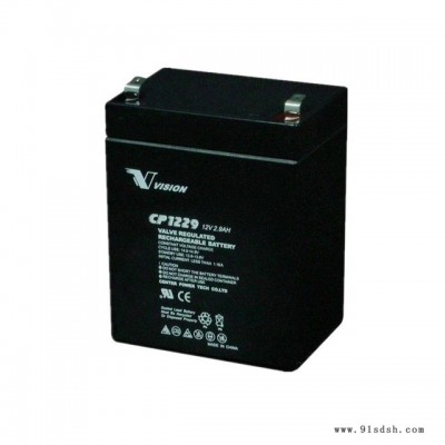 威神蓄电池12V2.9Ah 免维护 电子仪表仪器拉杆 音响铅酸蓄电池CP1229