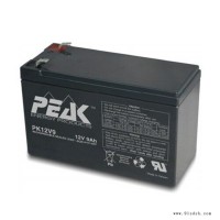 PEAK蓄电池PK12V13 12V13AH精密仪器 音箱 电梯