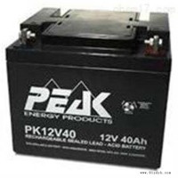 PEAK蓄电池PK12V40 12V40AH精密仪器 音箱 电梯
