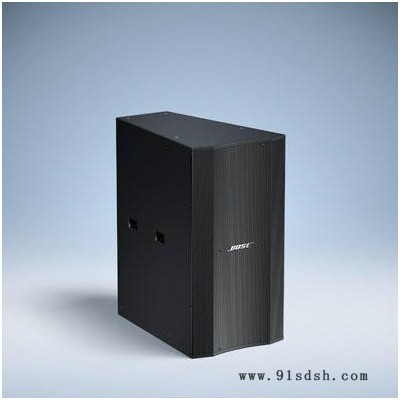 Bose音响_LT3202 WR_长冲程中高频扬声器、体育馆音响图3