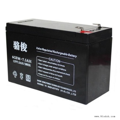 骆俊蓄电池6GFM-12AH 12V12AH/20HR广播系统 电梯 音响