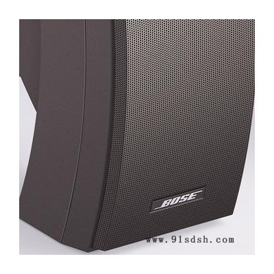 Bose音响_Panaray 302A_全频段/二分频扬声器、户外音响图2