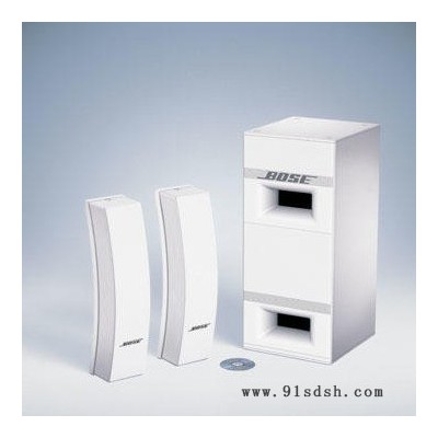 Bose音响_Panaray 502B_低音扬声器图5
