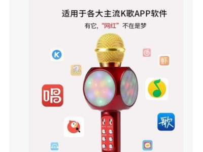 1816彩灯无线蓝牙麦克风话筒K歌一体音响掌上KTV唱歌神器